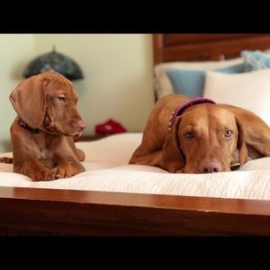 Meet your Posher, Anna